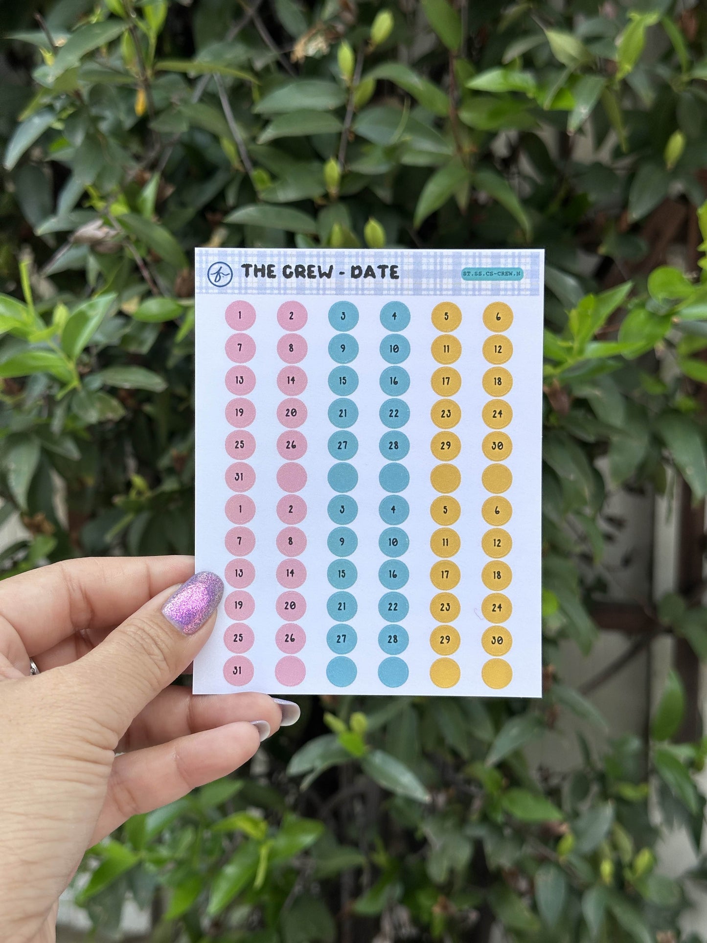 Paper Sticker Sheet Set — Color Shapes: The Crew | 3.5" x 4.25"