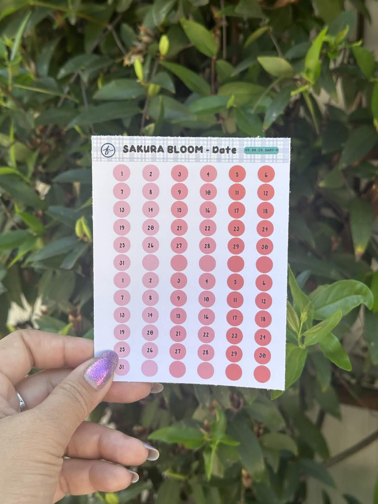 Paper Sticker Sheet Set — Color Shapes: Sakura Bloom | 3.5" x 4.25"