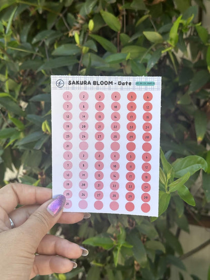 Paper Sticker Sheet Set — Color Shapes: Sakura Bloom | 3.5" x 4.25"