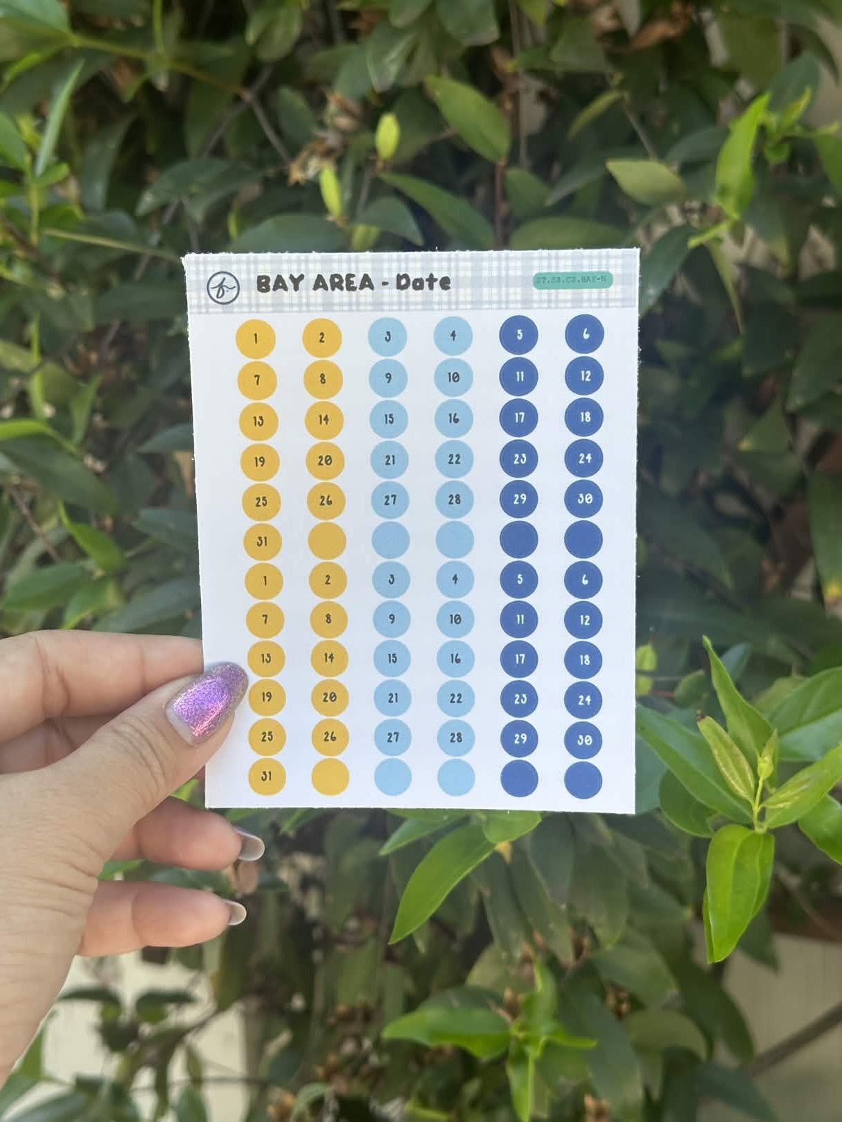 Paper Sticker Sheet Set — Color Shapes: Bay Area | 3.5" x 4.25"