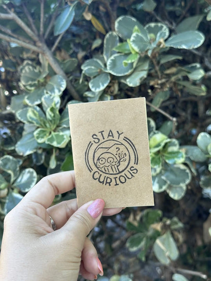 Mini Journal — Stay Curious | 2.5" × 3.5"