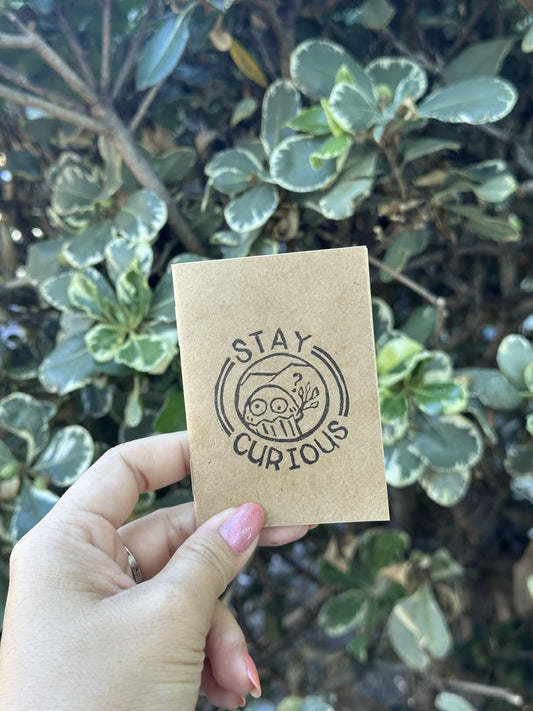Mini Journal — Stay Curious | 2.5" × 3.5"